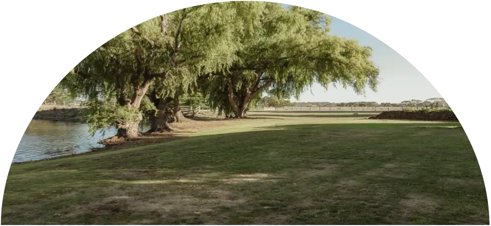 venue
